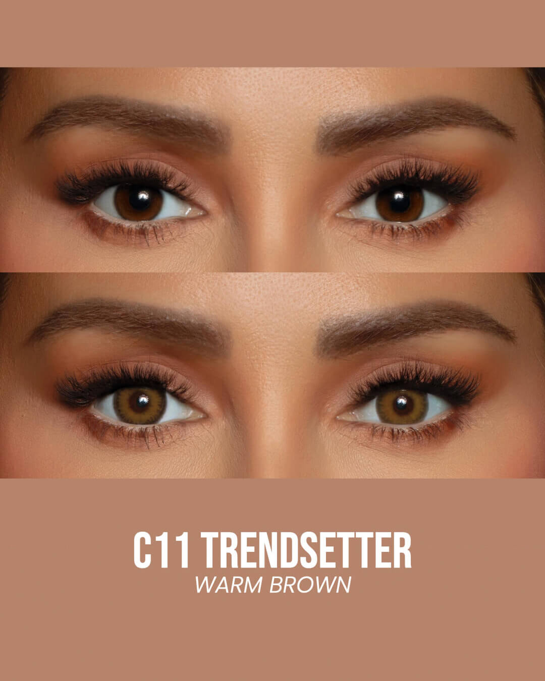 C11 TRENDSETTER - Warm Brown
