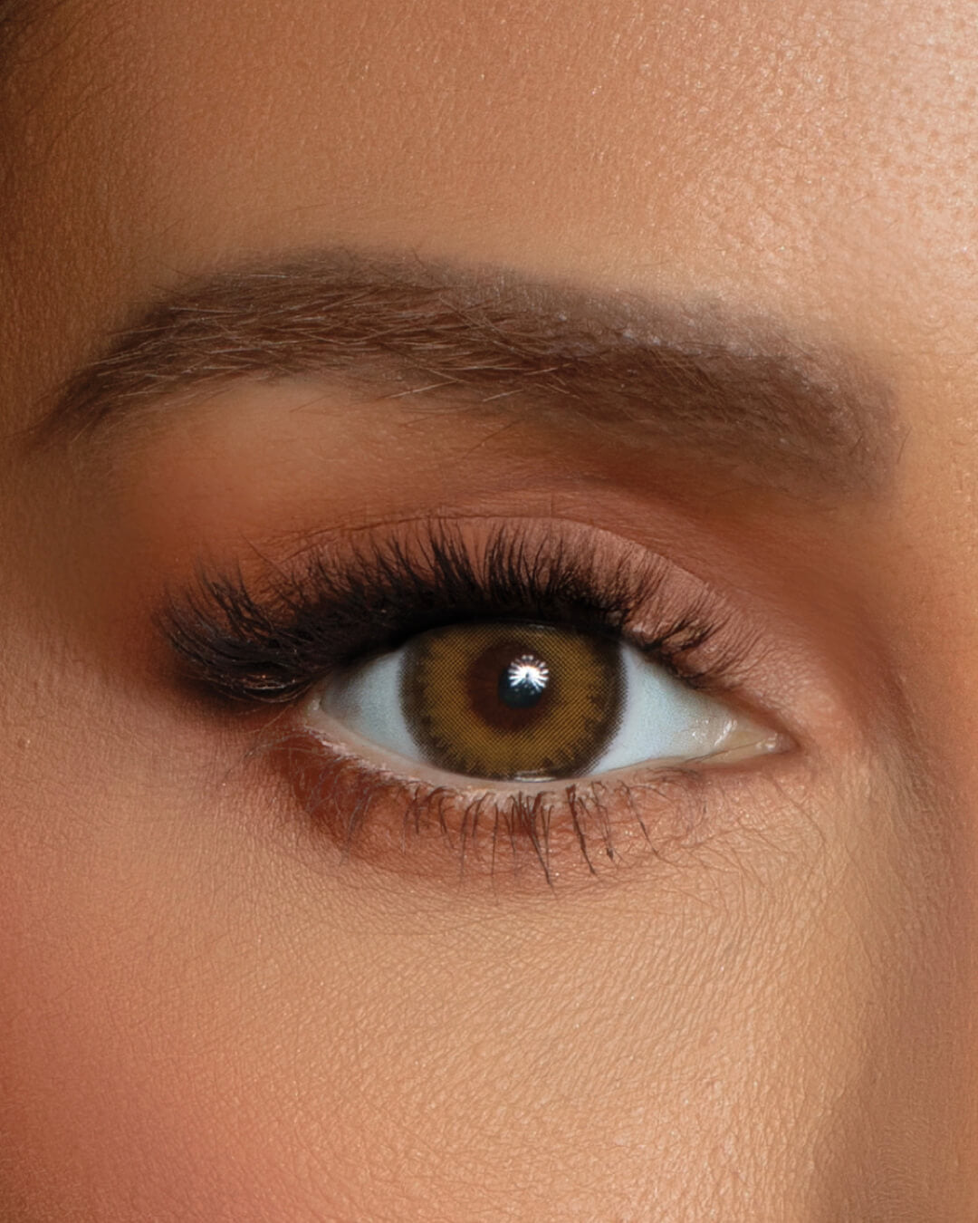 C11 TRENDSETTER - Warm Brown