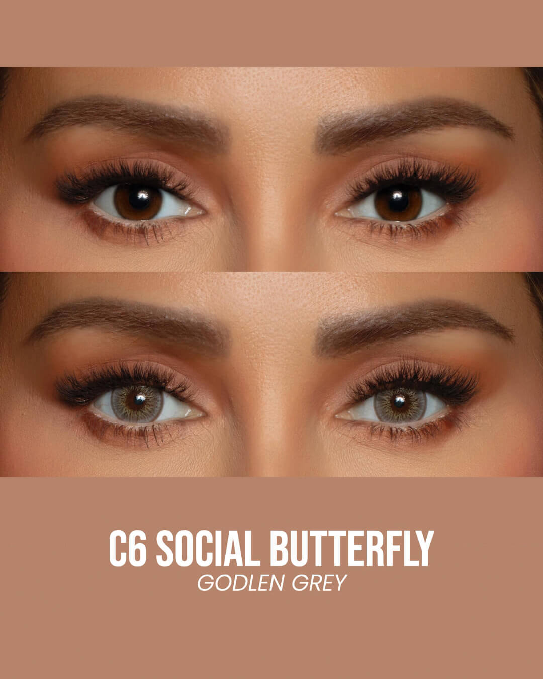 C6 SOCIAL BUTTERFLY - Golden Grey