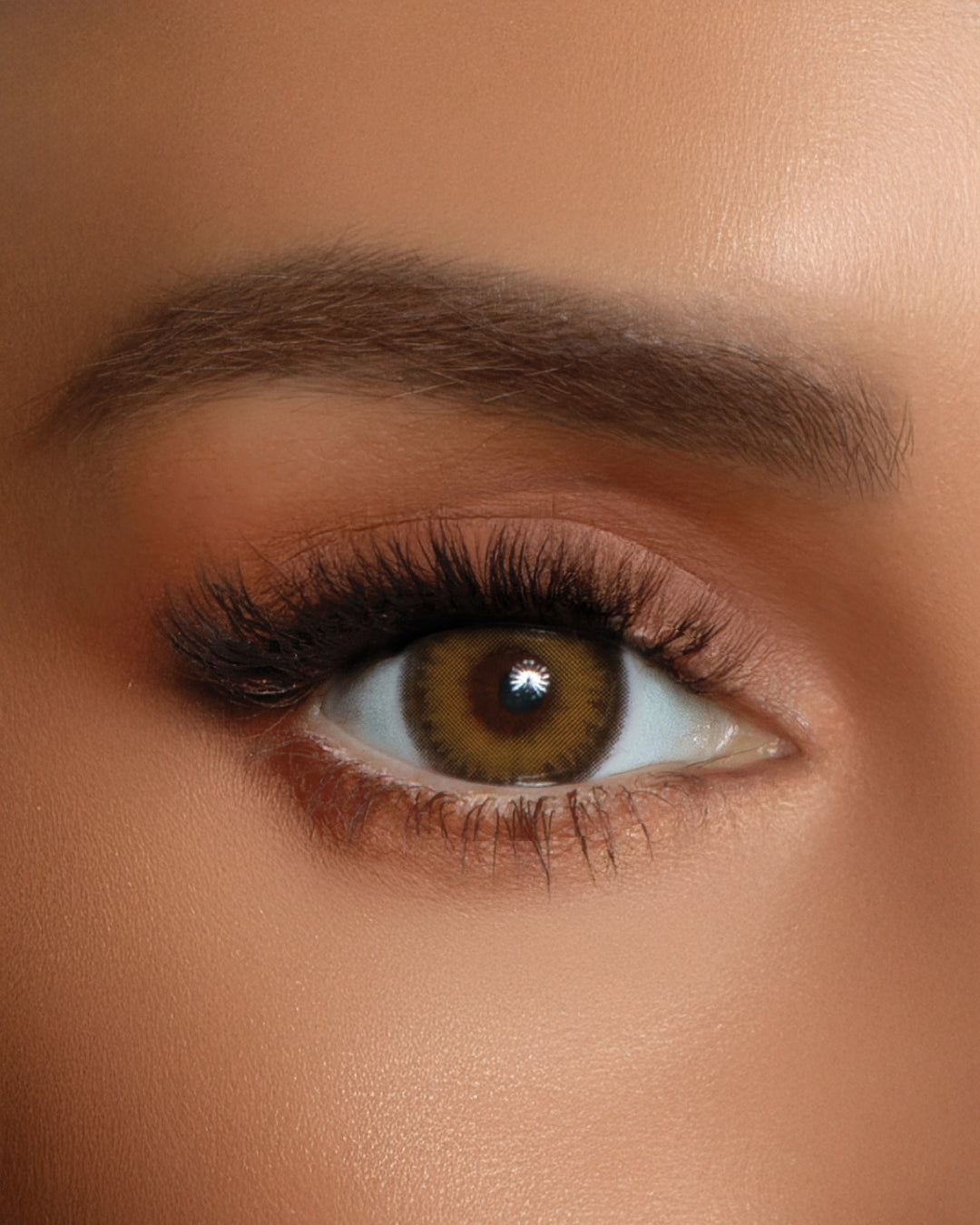 C11 TRENDSETTER - Warm Brown
