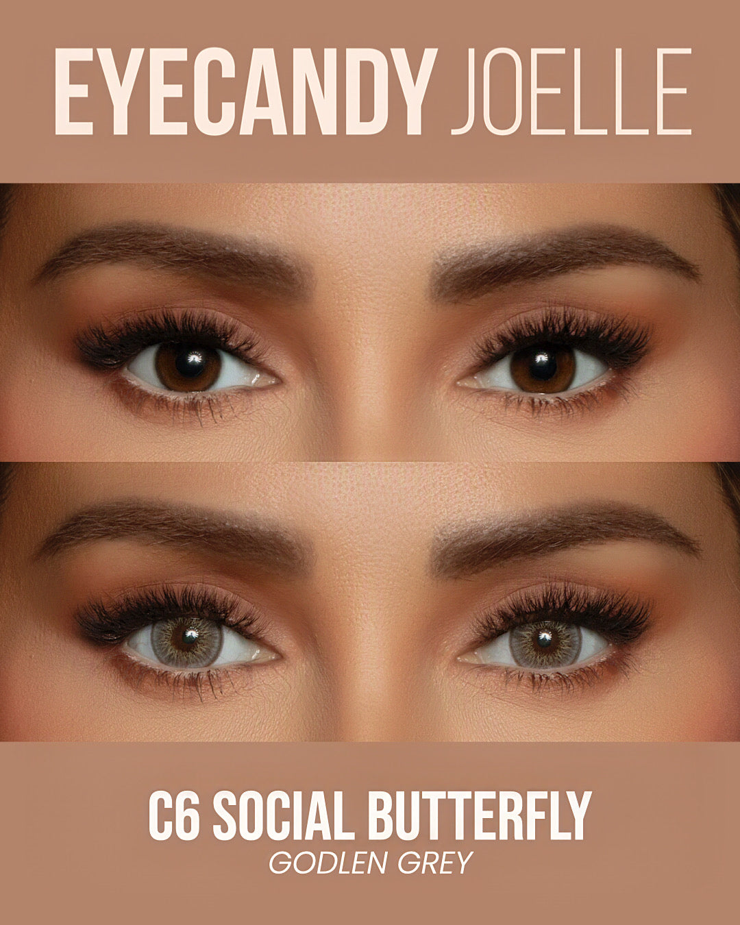 C6 SOCIAL BUTTERFLY - Golden Grey