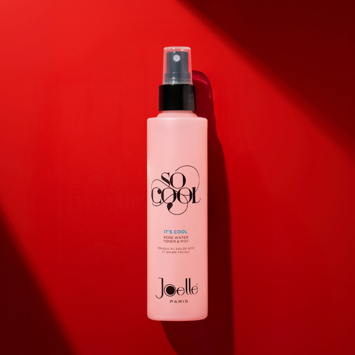 Joelle Paris - Its Cool