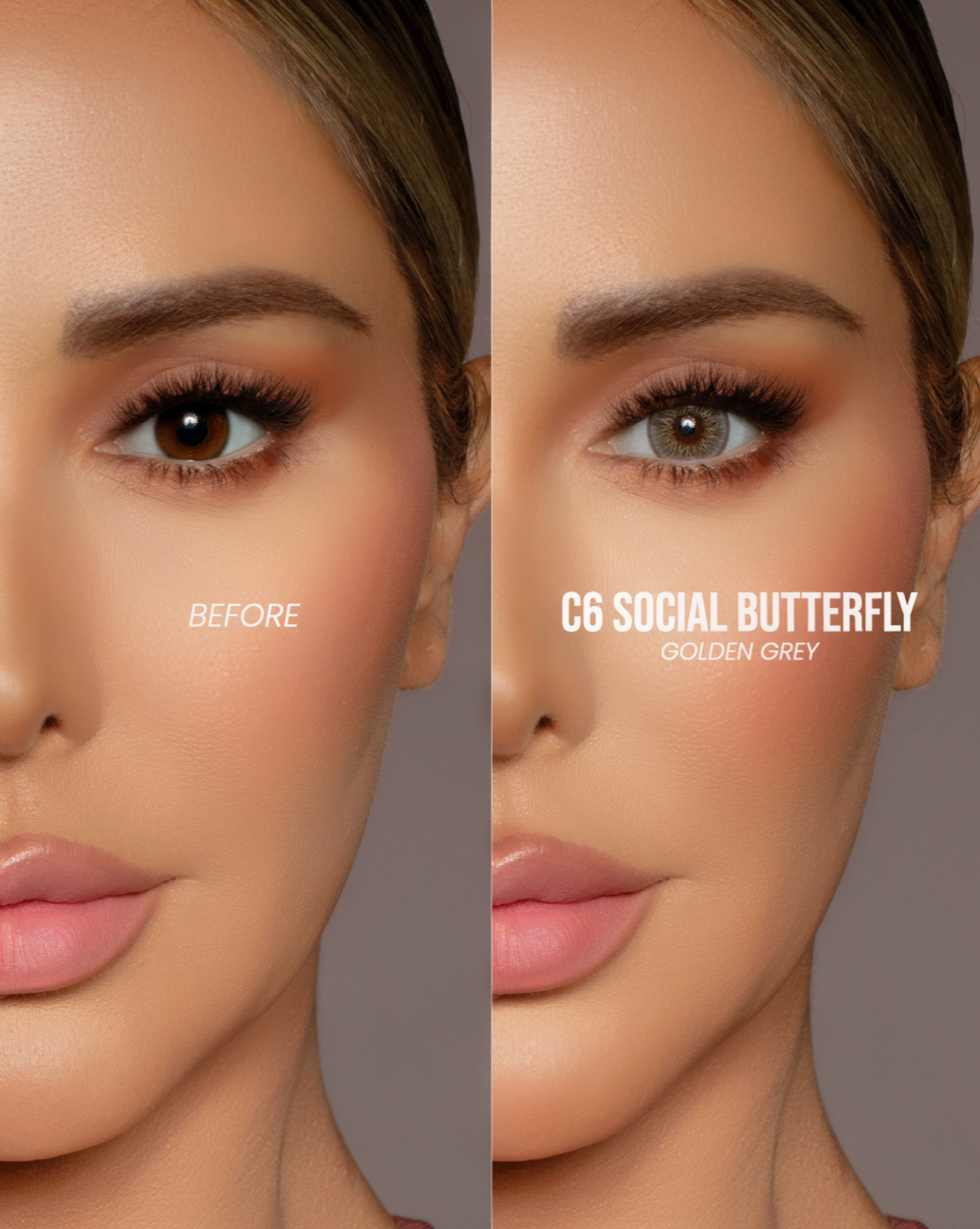 C6 SOCIAL BUTTERFLY - Golden Grey