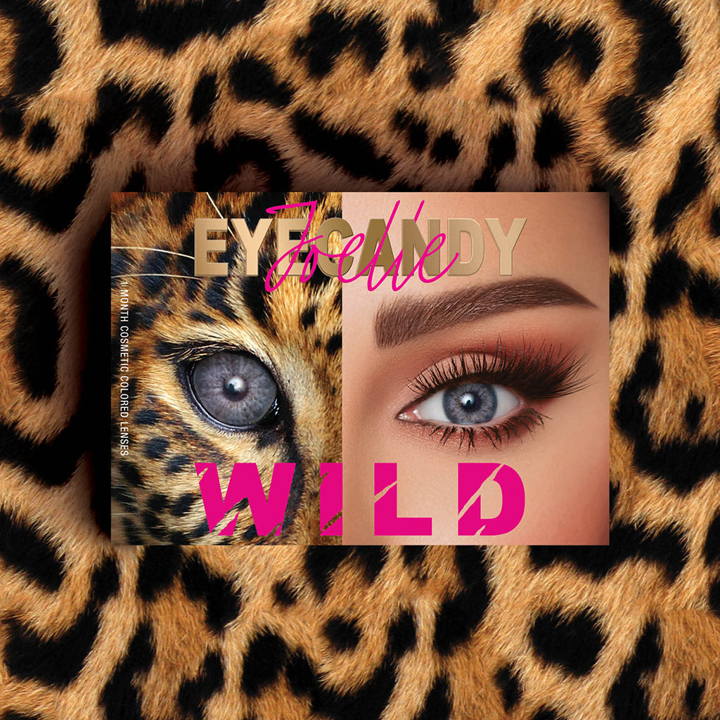 B11 Leopard