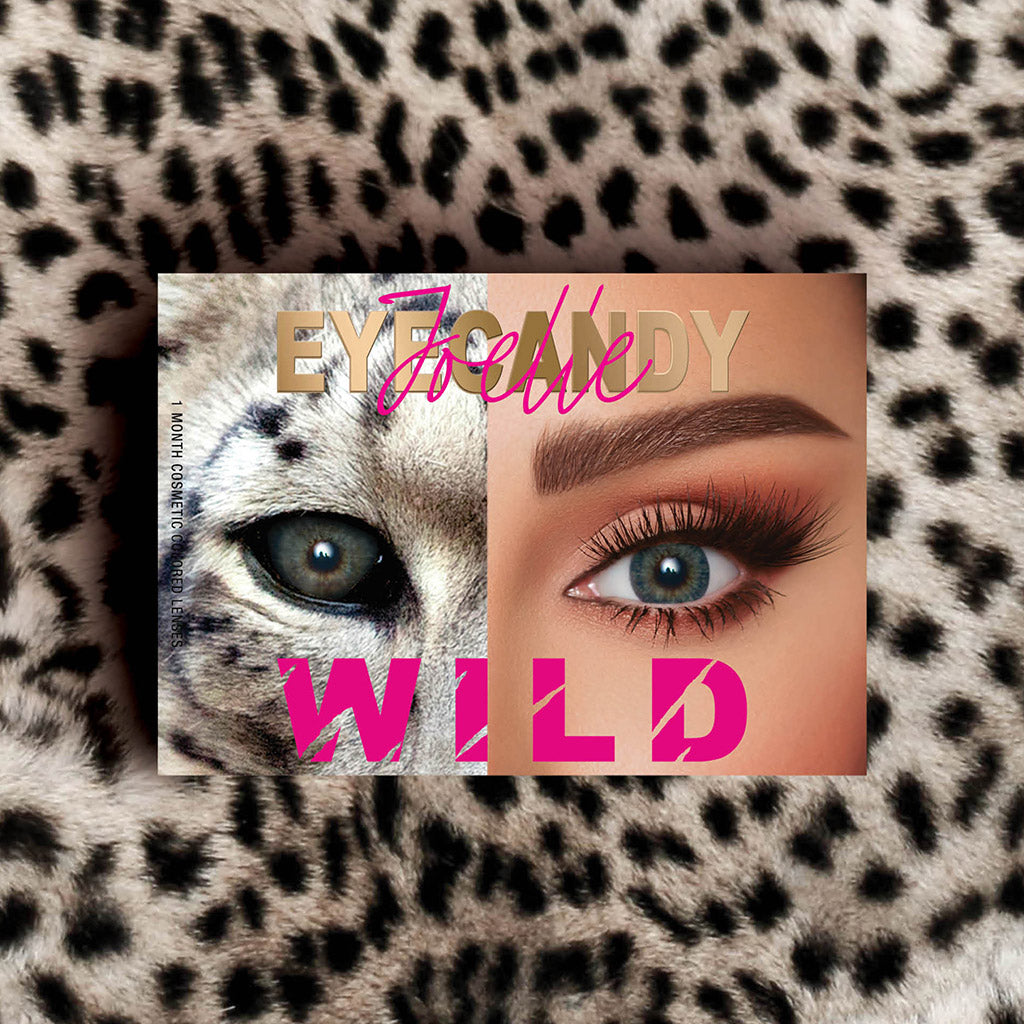 B2 Snow Leopard