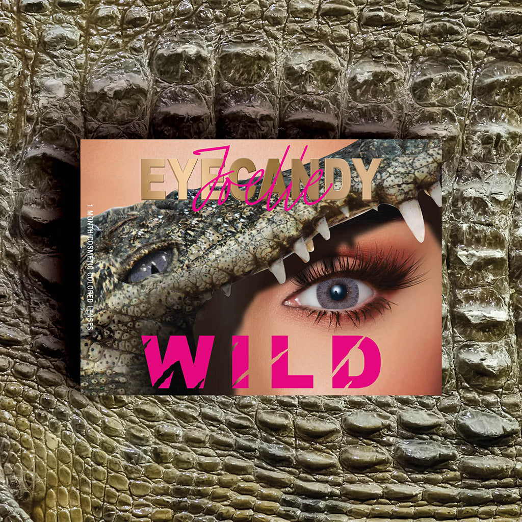 B4 Crocodile